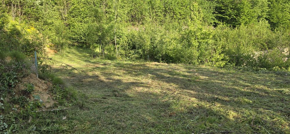 Teren de vanzare in Valiug , zona Crivaia p 22.300 euro. Ideal pentru o cabana , sau loc de gratar .