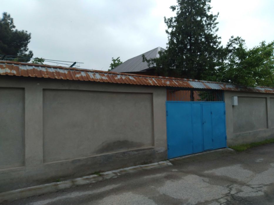 Продается дом с участком