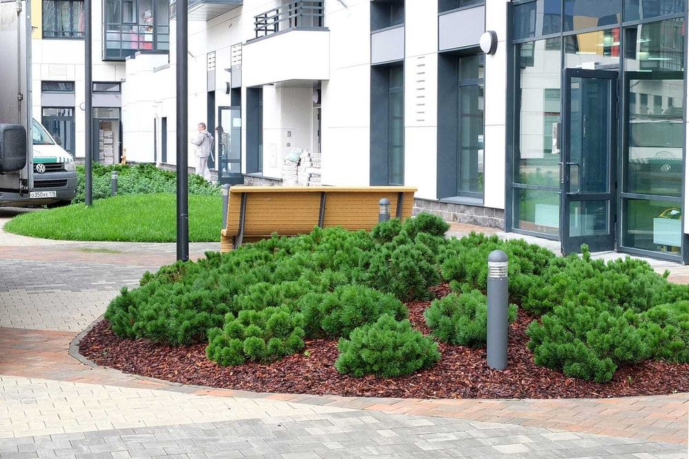 Озеленение, газон и автополив