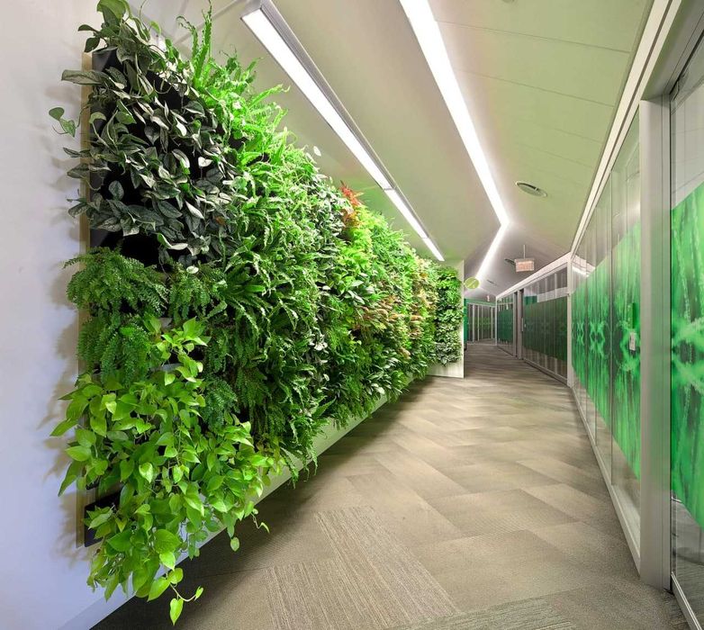 Искусственные растения на стену. Установка