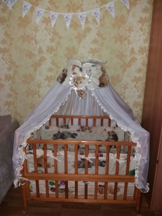 Продам детскую кроватку