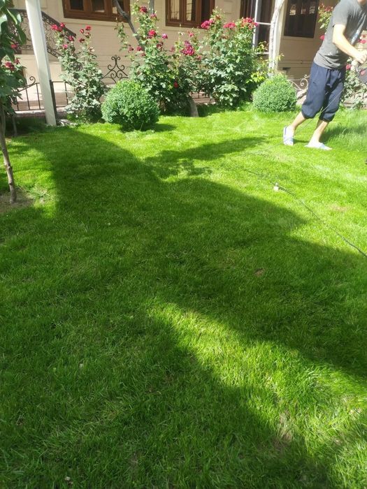 Gazon ekish archa kesish ishlar lanshaftni dizayin ishlar bazaramiz