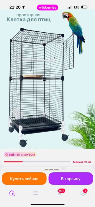 Продам попугая с клеткой