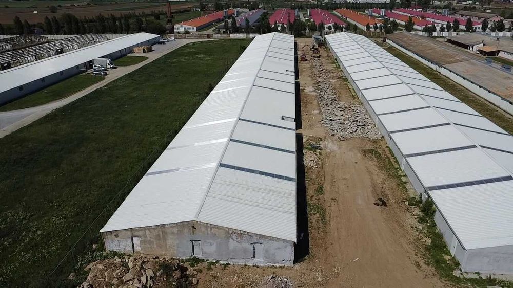 Hala industriala de vanzare in Palota