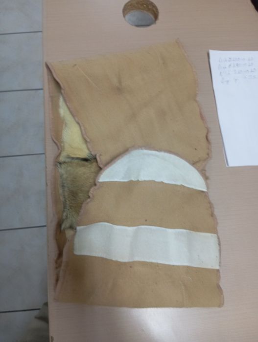 Пояс собачи на лепучке