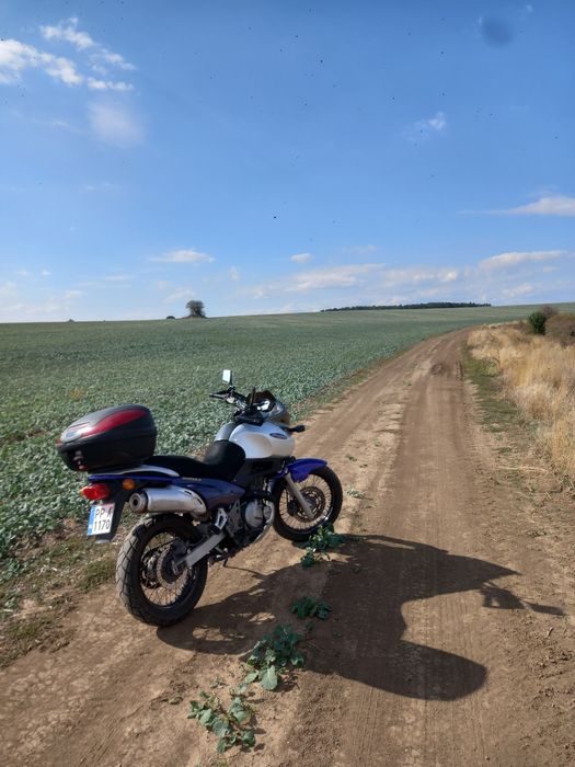 Suzuki XF650 1800 €