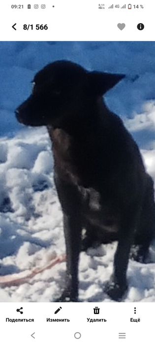 Добрые любящие руки