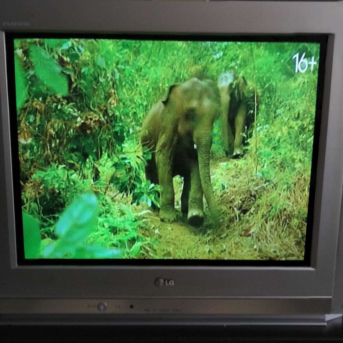 Телевизор LG, б/у