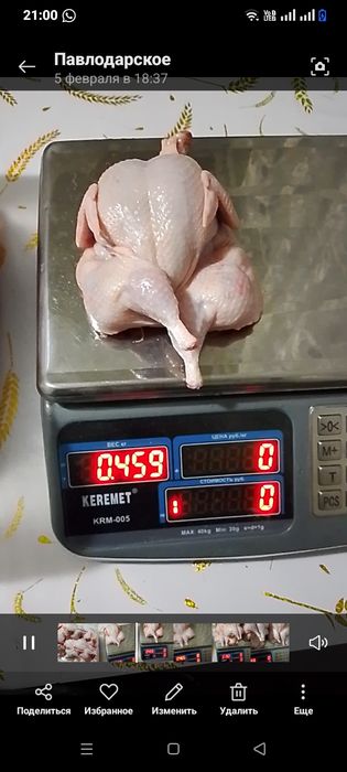 Мясо домашней перепёлки