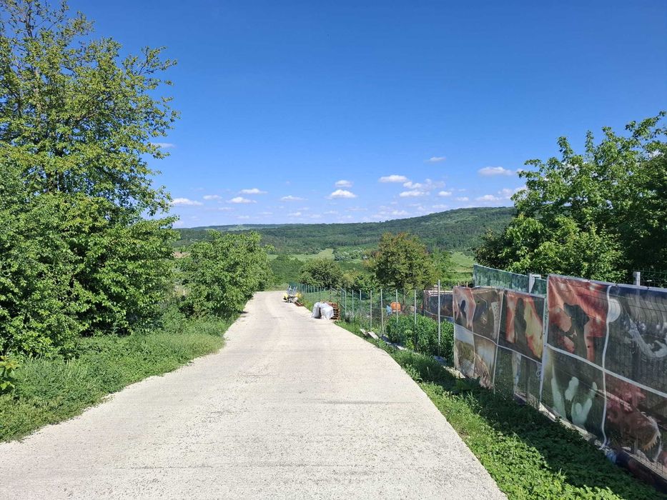 Proprietar, Dorobant - Aroneanu, Iasi, teren intravilan, 600 mp!