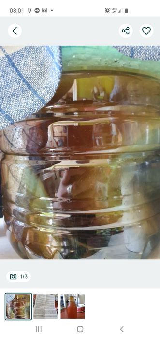 Ciuperca de kefir si ciuperca de Kombucha