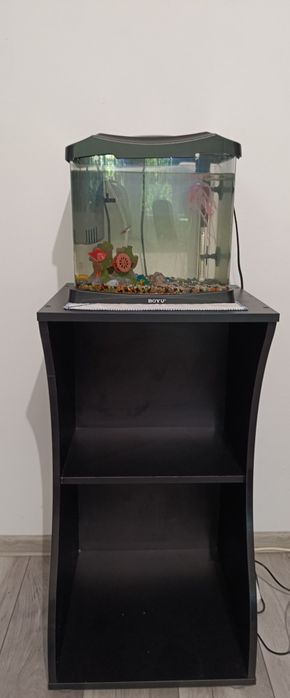 Dulap Baza Acvariu