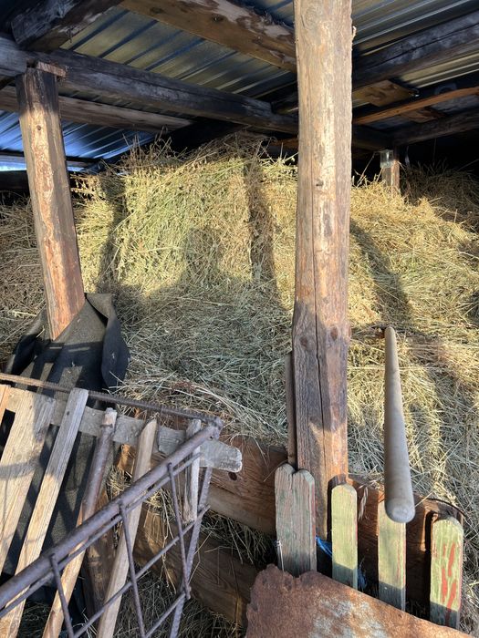 Vand lucerna calitate superioara NU e balotata baloti