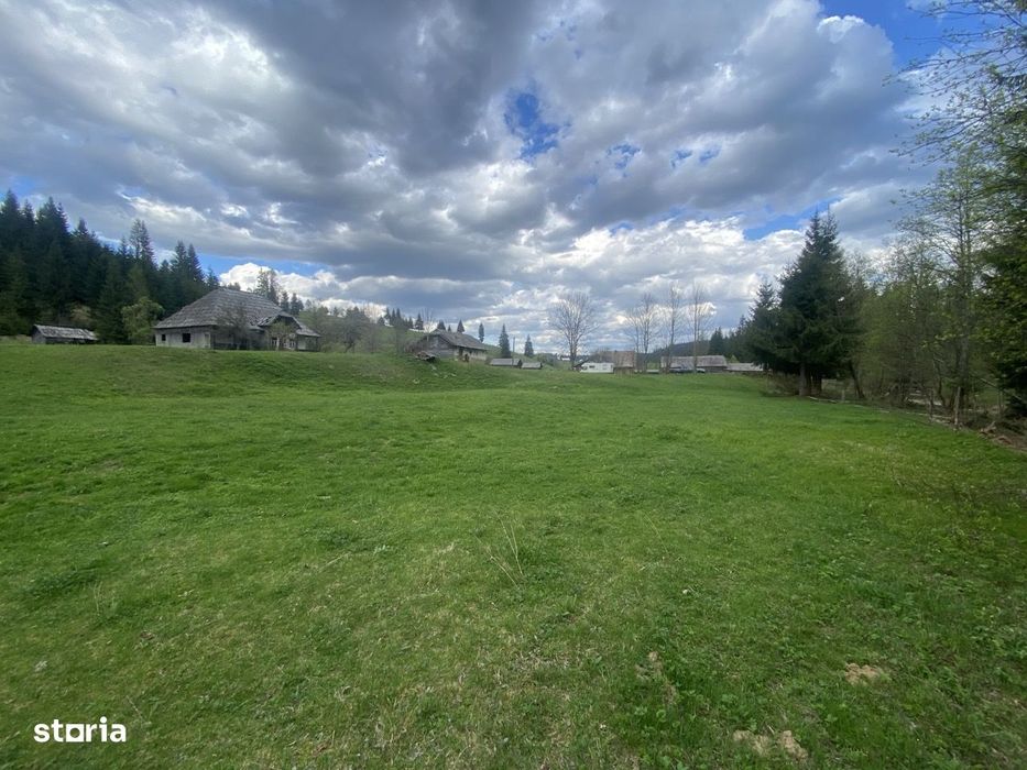 55.000 Mp În Inima Naturii Din Bucovina | Potențial Resort De Lux,