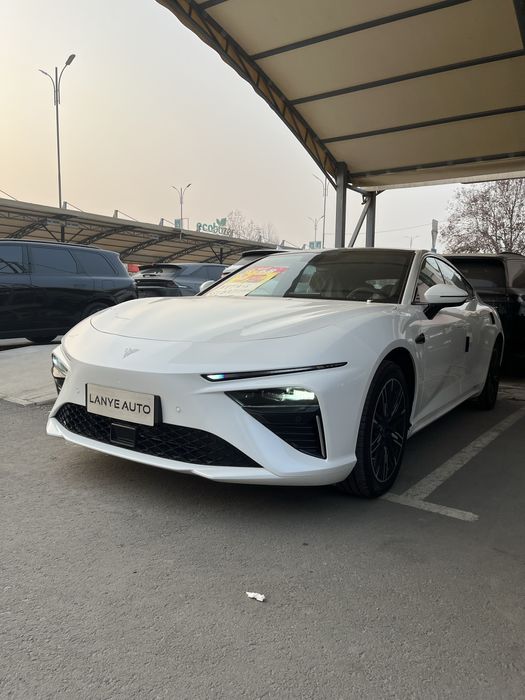 Neта С гибррит