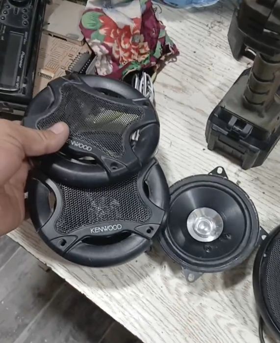 Pioner 10sm arginal kalonka