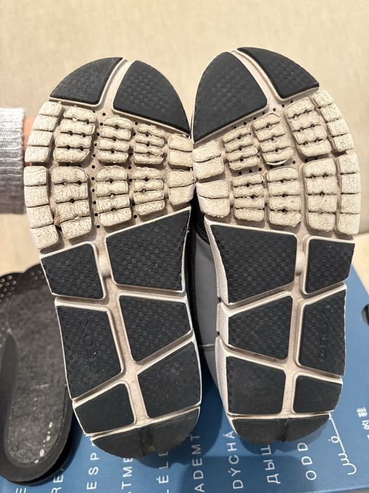 Зимние сапоги Geox Amphibiox