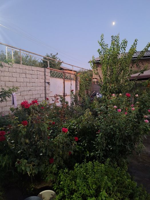 Срочна! Ховли Сотилади