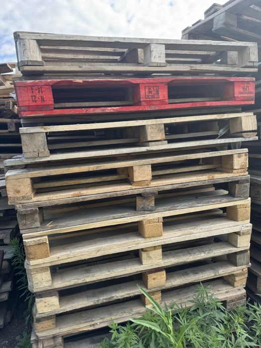 Продам евро/простые поддоны