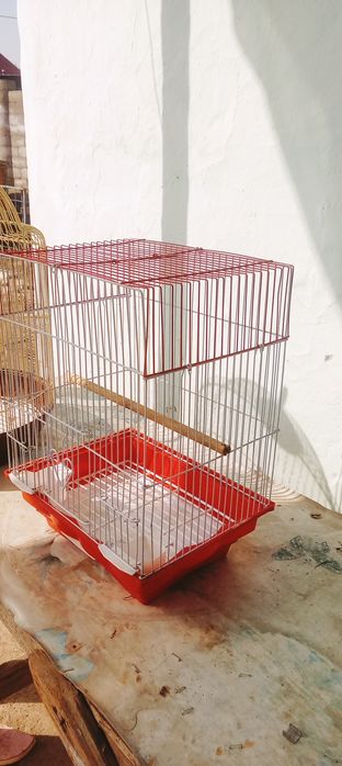 Клетка для птиц достояние б/у 2000