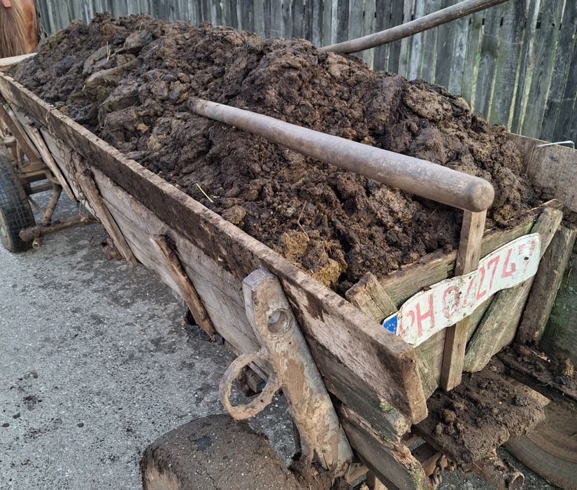 Gunoi de grajd de vita