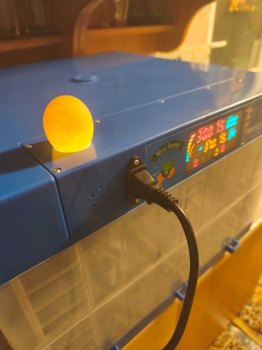 Incubator pentru oua