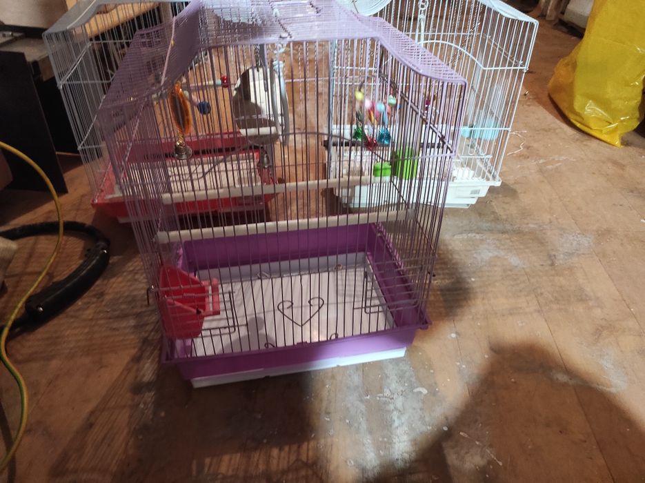 Vând cuști papagali