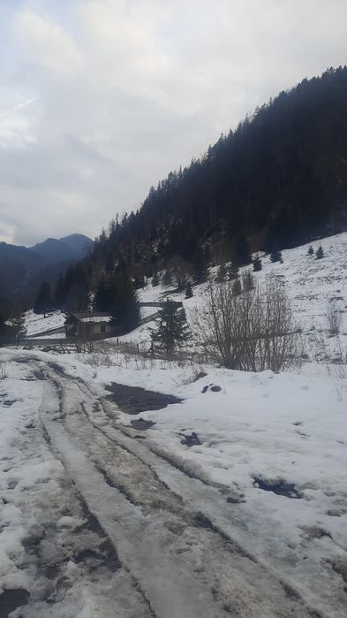 Teren la munte superb Ciocanu Dambovicioara