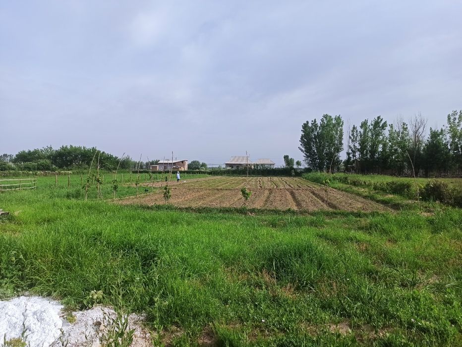 20 сотохли участка сотилади