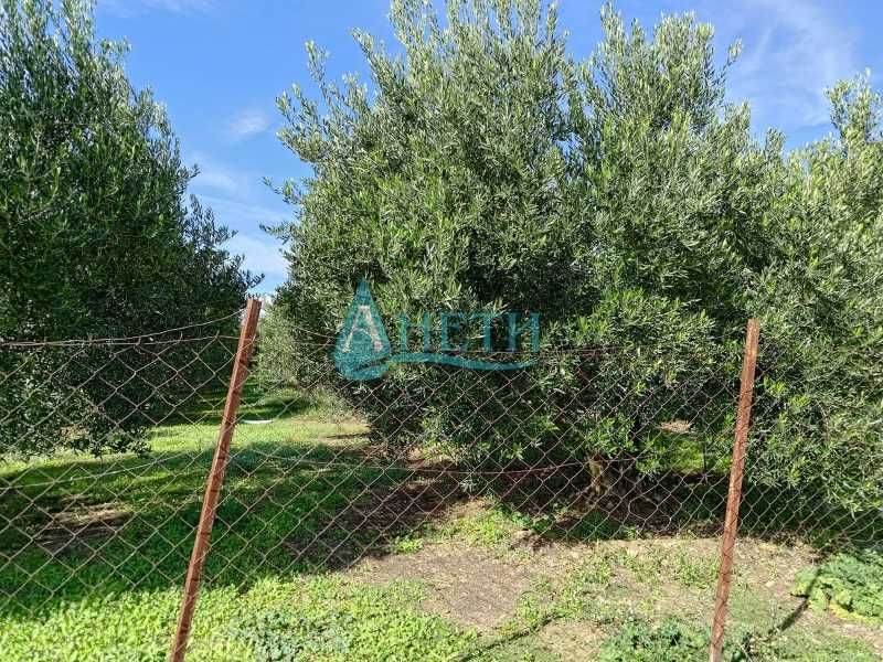 Продава се Парцел в София, Гео Милев - 1000 кв.м за 10 €/кв.м - Снимка #4