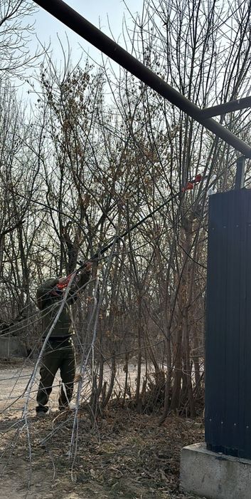 Обрезка срез древесины.
