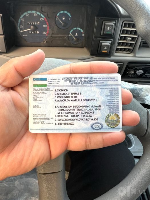 Damas Delux oq rang