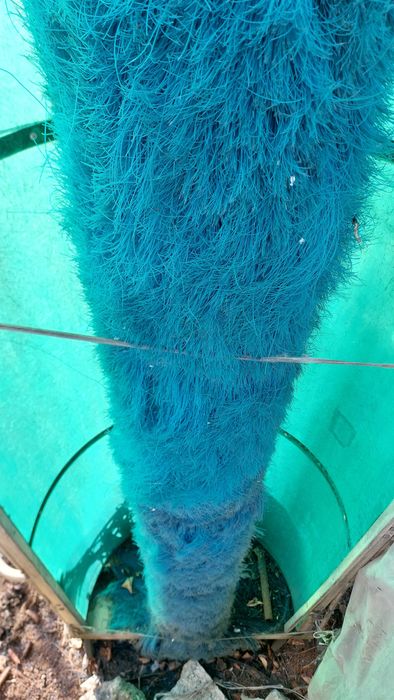 Perie mobila spalare camioane,cisterne,autocare Steinbrückner EBA 2000