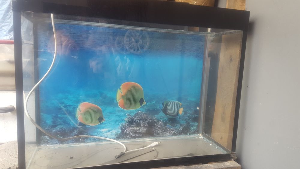 Продам аквариум 100 л