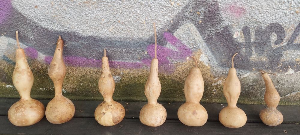 Картунки декоративни