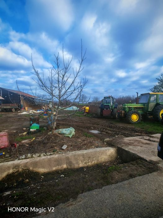 Teren de vânzare Adunatii Copaceni