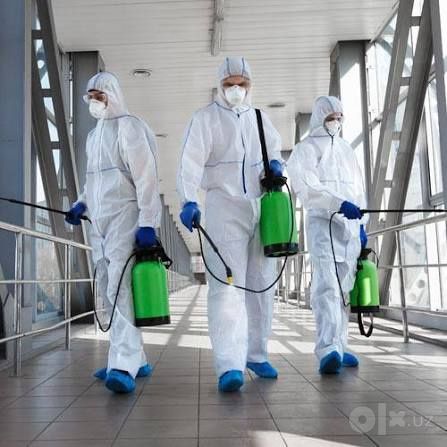 Дезинфекция Дезинсекция Дератизация