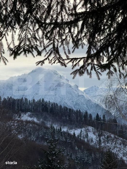 Complex turistic eco-integrat – Predeal (Trei Brazi)