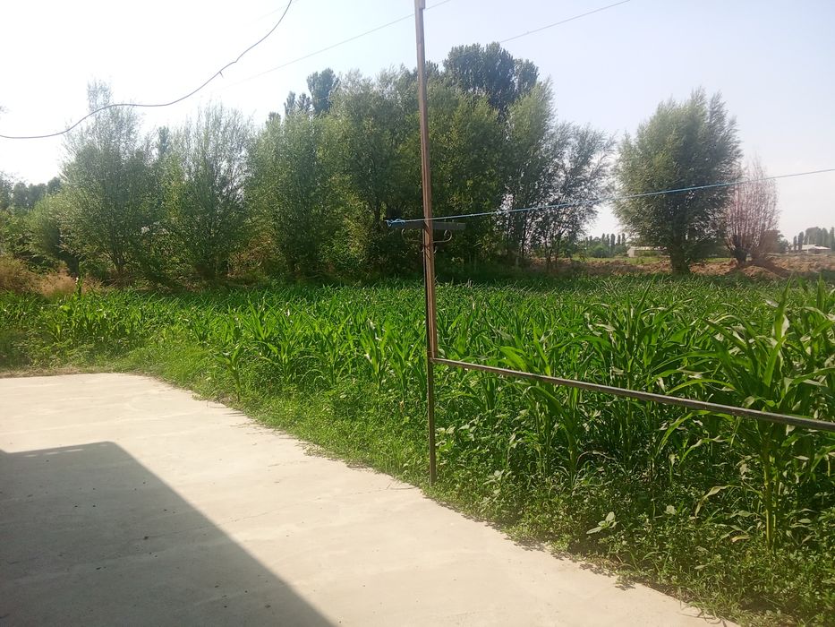 Продается участок 33сотка очень дёшево