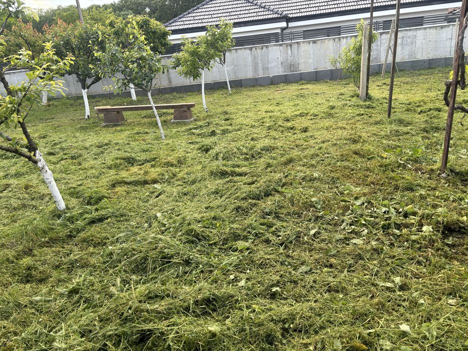 Резитба на овощни градини /озеленяване