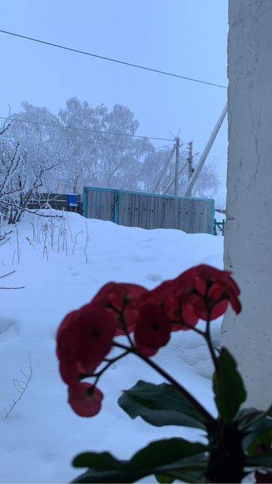 Продам 3х ком. Дом