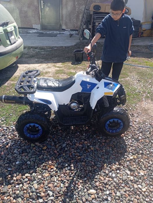 квадроцикл 110cc (Tao Motor Mudhawk).