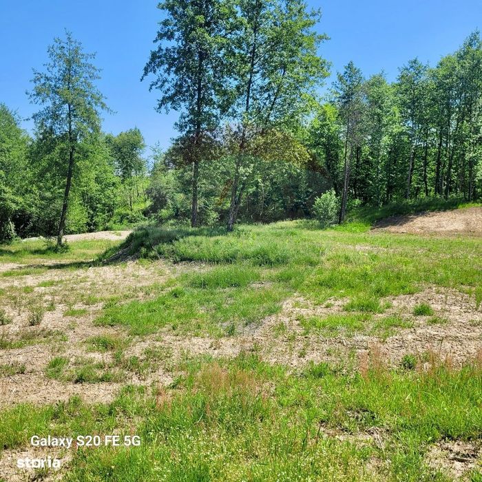 Oază de liniște – teren de vânzare 6.725 mp