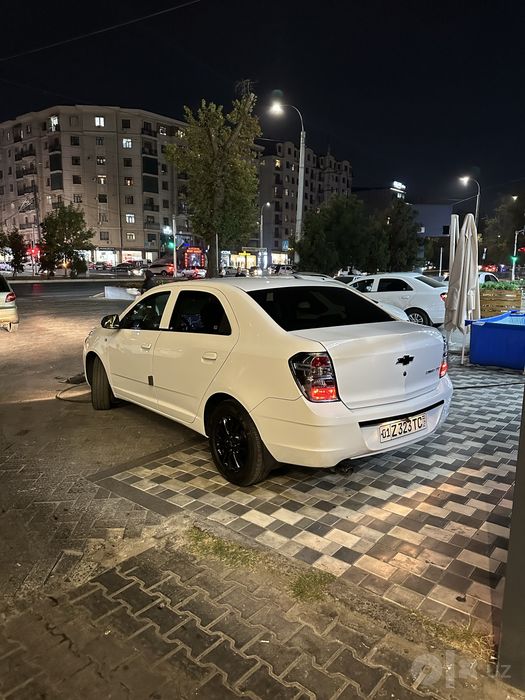 Cobalt 2025 Midnight Tozza