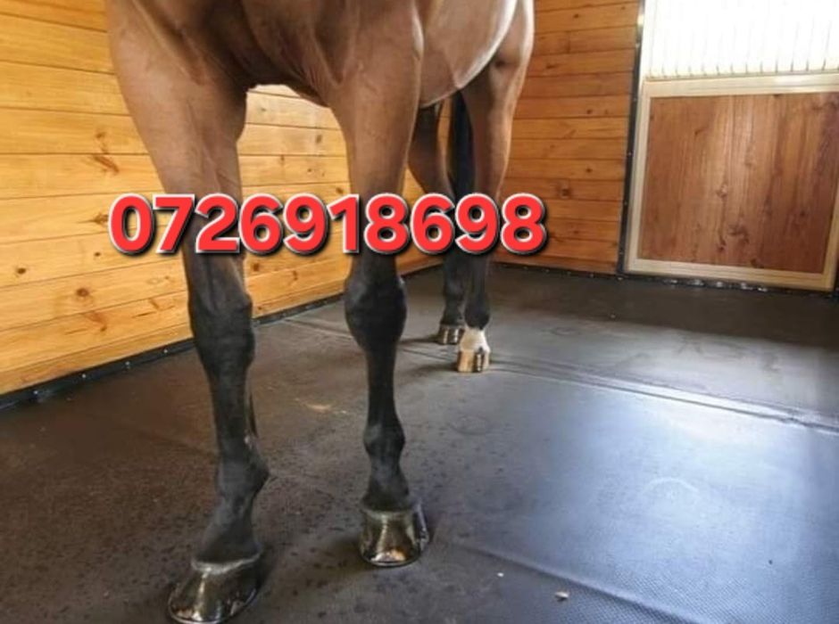 Vand banda de cauciuc va garantam ca avem cele mai mici.preturi la ban