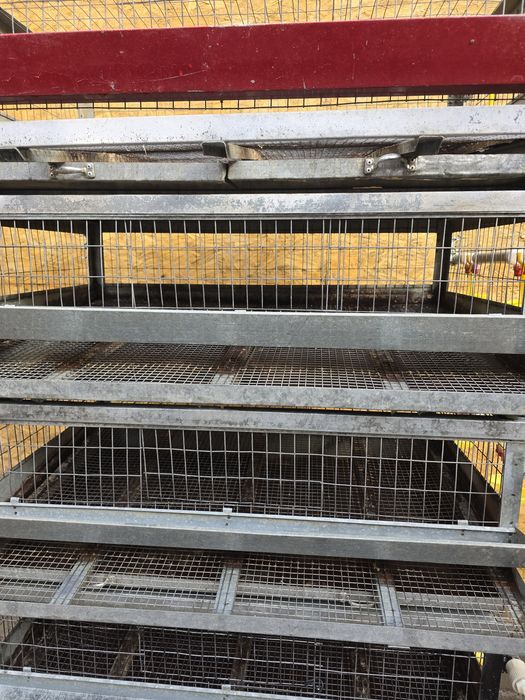 Продам клетки для перепелов