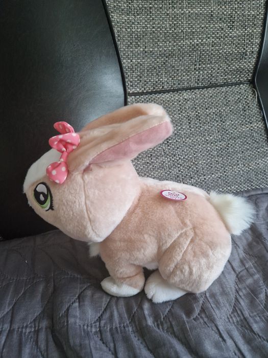 Vand iepuras interactiv