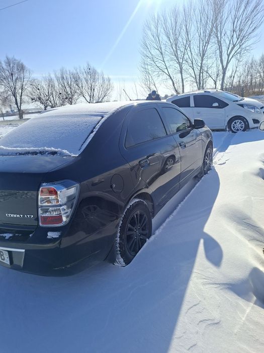 Cobalt midnight qora 2025