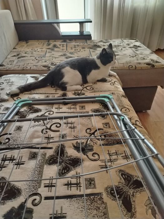 Одам добрый руки