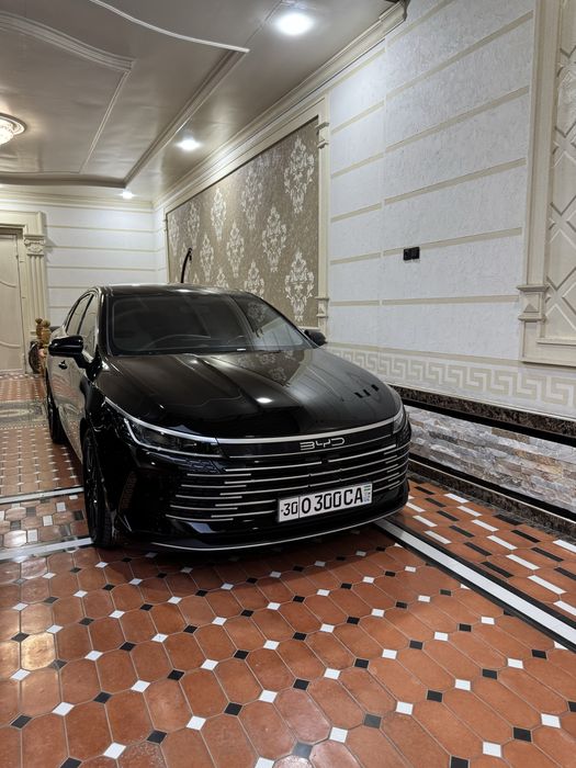 BYD CHAZOR 55km  2024